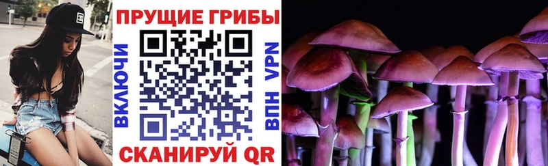 Купить  Талица  Псилоцибиновые грибы прущие грибы 